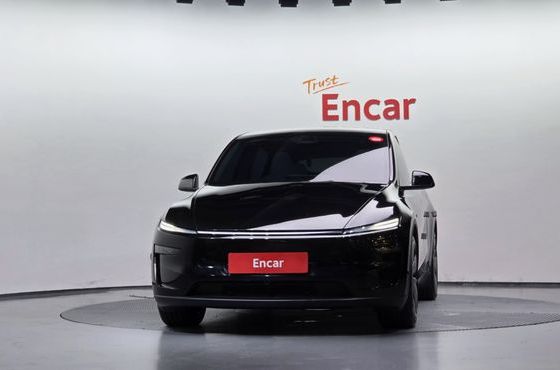 Tesla Model Y Long Range AWD — пробег 15 515 км — фото 3 из 5