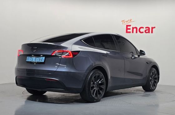 Tesla Model Y Standard Range RWD — пробег 114 189 км — фото 2 из 5