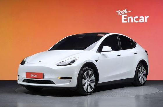 Tesla Model Y Long Range AWD — пробег 50 957 км — фото 1 из 5
