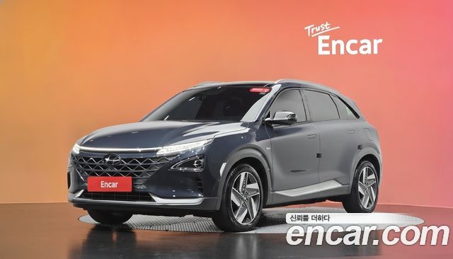 Hyundai Nexo Premium — пробег 71 479 км — фото 1 из 5