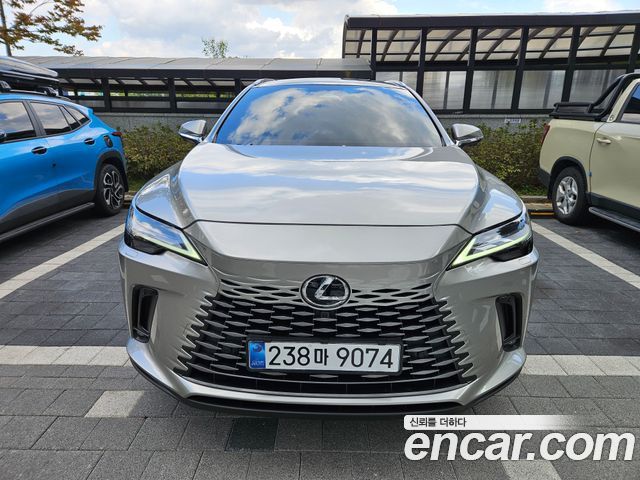 Lexus RX Luxury — пробег 13 322 км — фото 1 из 5