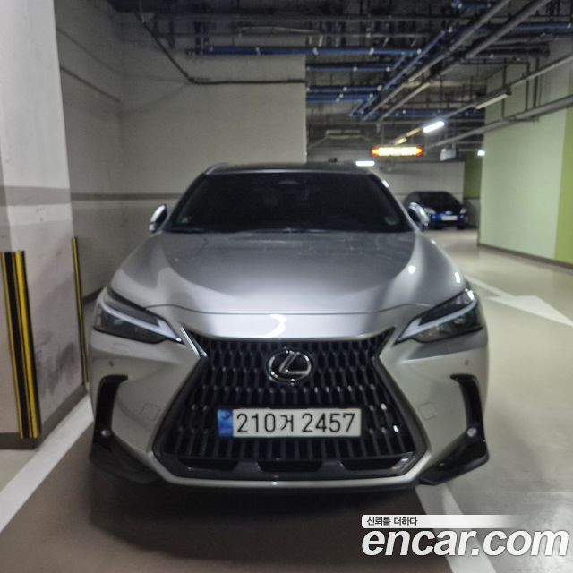 Lexus NX Premium — пробег 17 600 км — фото 4 из 5