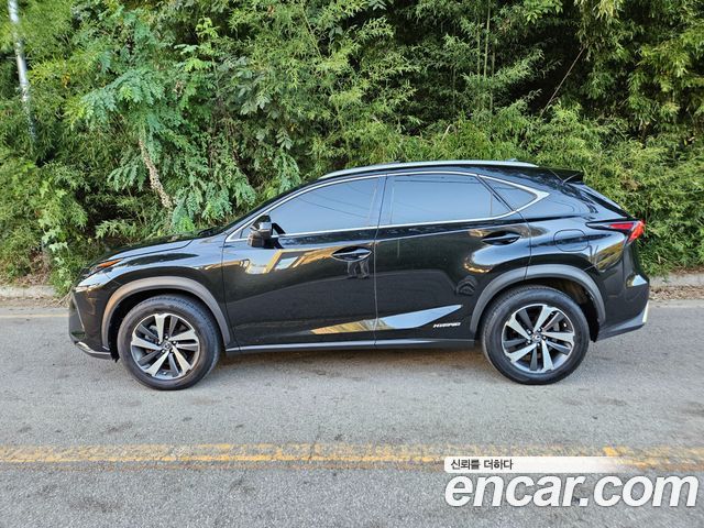 Lexus NX Supreme — пробег 137 200 км — фото 5 из 5