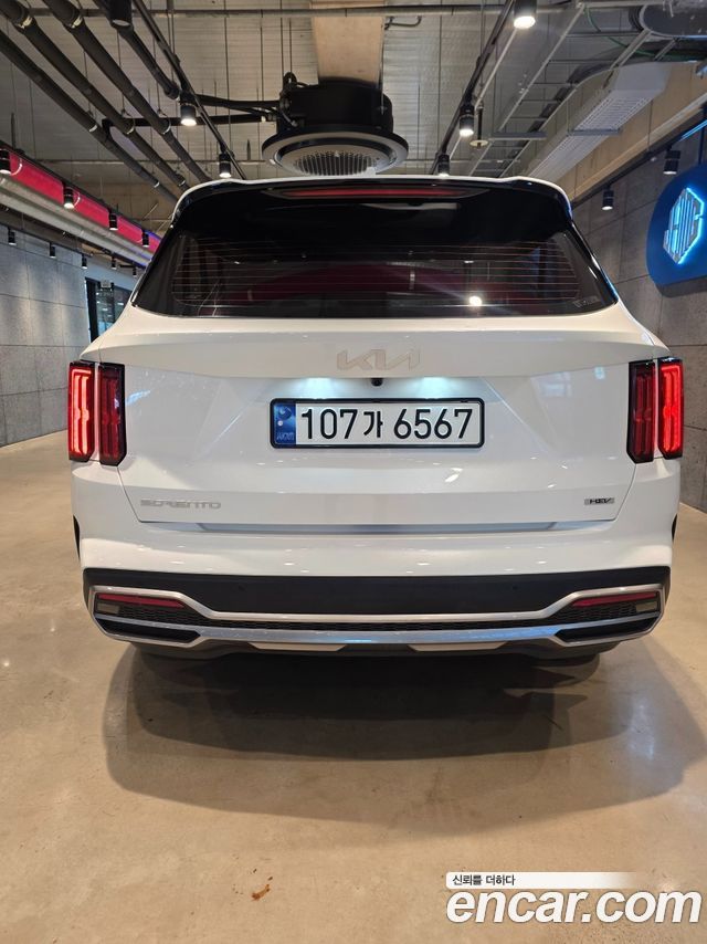 Kia Sorento HEV 1.6 2WD Signature — пробег 60 000 км — фото 4 из 5