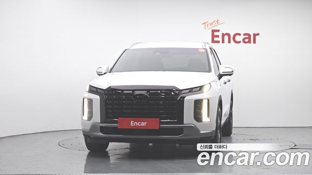 Hyundai Palisade Diesel 2.2 2WD Exclusive — пробег 141 480 км — фото 3 из 5