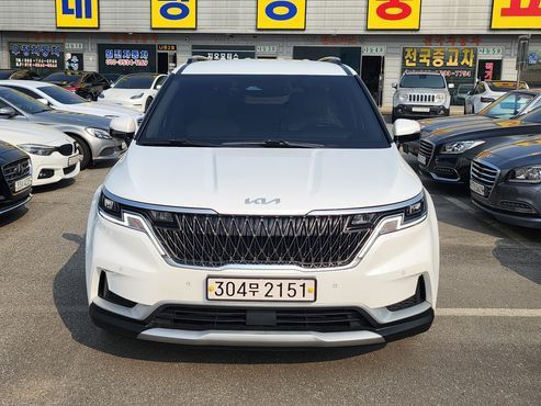 Kia Carnival Conversion(LPG) — пробег 100 905 км — фото 1 из 5