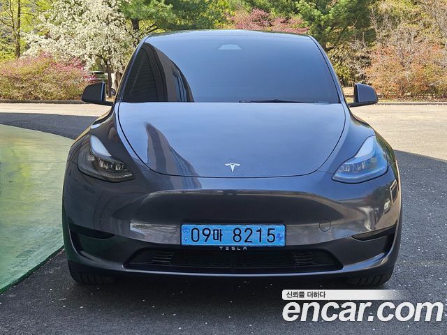 Tesla Model Y из Кореи Encar