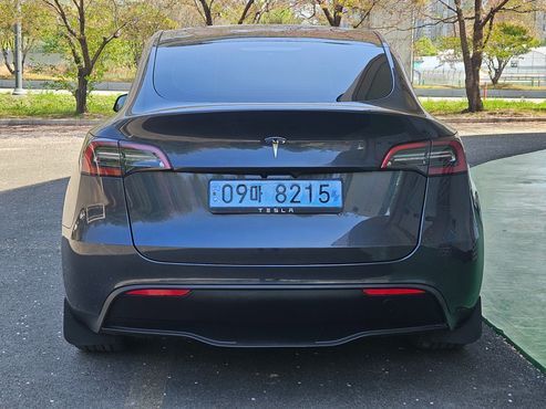 Tesla Model Y RWD — пробег 16 402 км — фото 5 из 5