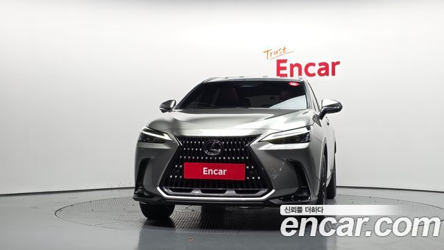 Lexus NX Premium — пробег 17 488 км — фото 3 из 5