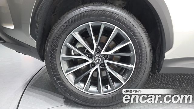 Lexus NX Premium — пробег 17 488 км — фото 5 из 5
