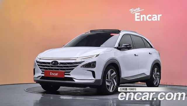 Hyundai Nexo Premium — пробег 41 149 км — фото 1 из 5