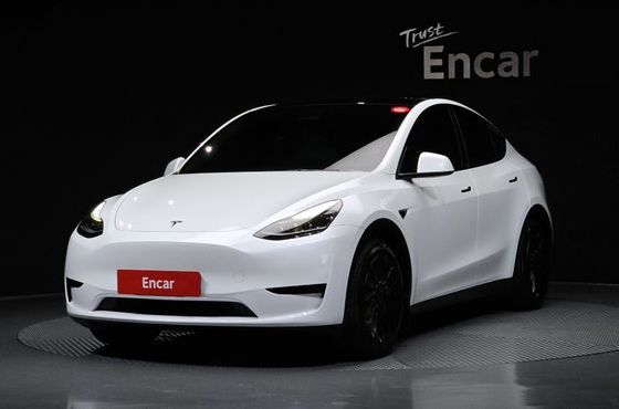 Tesla Model Y RWD — пробег 49 819 км — фото 1 из 5