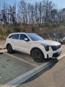 Kia Sorento HEV 1.6 2WD Noblesse — пробег 8 125 км — фото 2 из 5