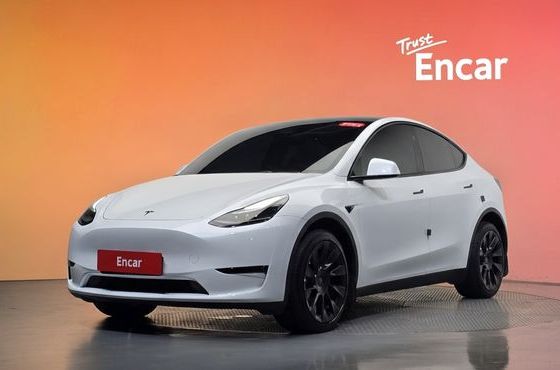 Tesla Model Y Long Range AWD — пробег 28 305 км — фото 1 из 5
