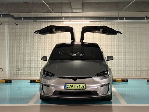 Tesla Model X AWD — пробег 6 500 км — фото 3 из 5