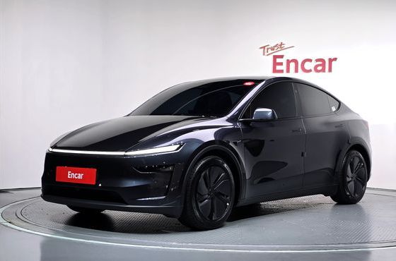 Tesla Model Y Premium Long Range AWD — пробег 8 210 км — фото 1 из 5