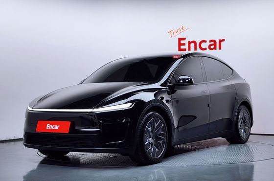 Tesla Model Y L Long Range AWD — пробег 7 599 км — фото 1 из 5