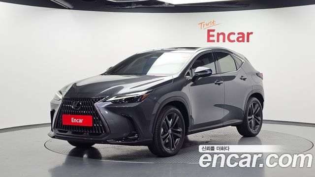 Lexus NX Premium — пробег 16 707 км — фото 1 из 5