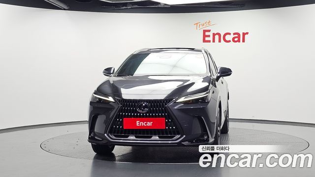 Lexus NX Premium — пробег 16 707 км — фото 3 из 5