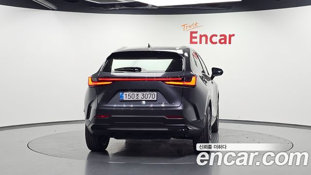 Lexus NX Premium — пробег 16 707 км — фото 4 из 5