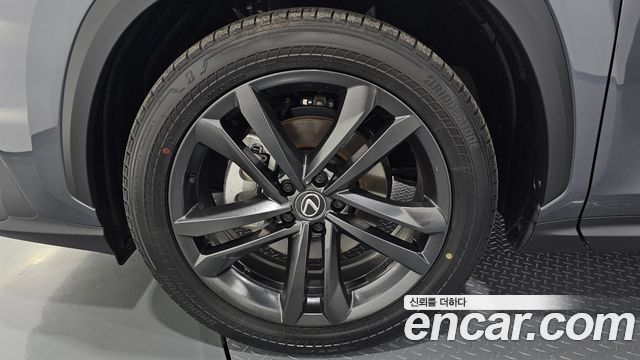 Lexus NX Premium — пробег 16 707 км — фото 5 из 5