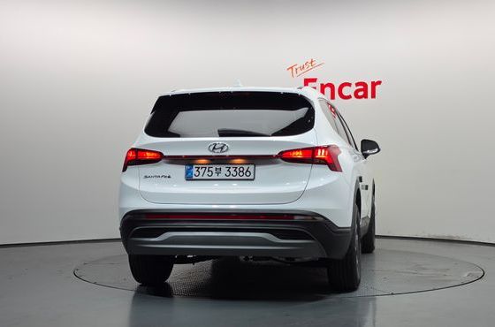 Hyundai Santafe HEV 1.6 2WD Exclusive — пробег 46 665 км — фото 4 из 5