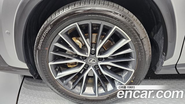 Lexus NX Luxury — пробег 23 857 км — фото 5 из 5