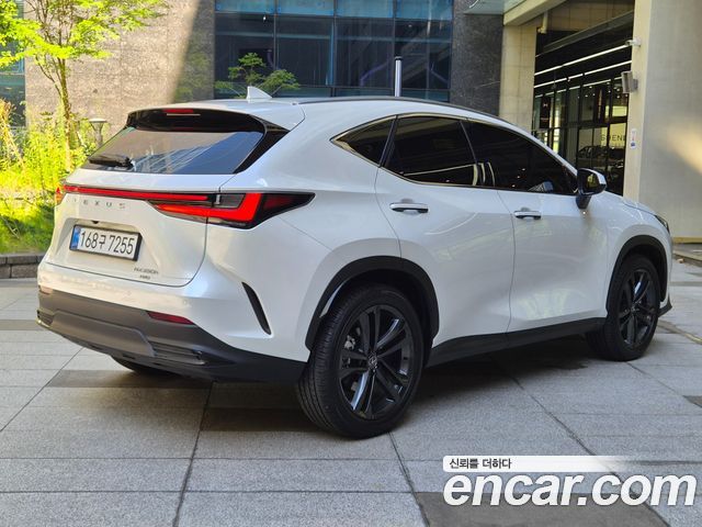 Lexus NX Premium — пробег 17 700 км — фото 2 из 5