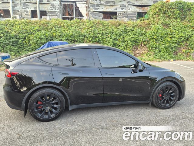 Tesla Model Y из Кореи Encar