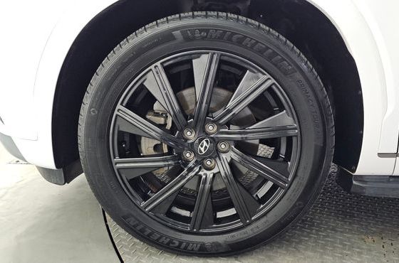 Hyundai Palisade Diesel 2.2 4WD VIP — пробег 56 369 км — фото 5 из 5