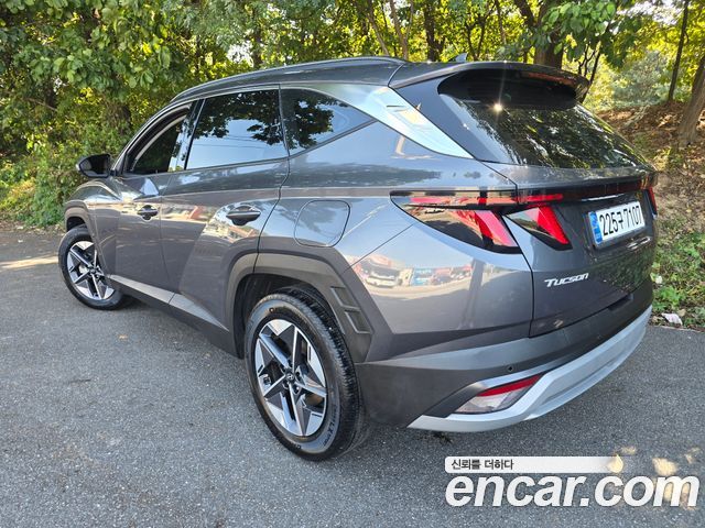 Hyundai Tucson HEV 1.6 2WD Premium — пробег 27 000 км — фото 5 из 5