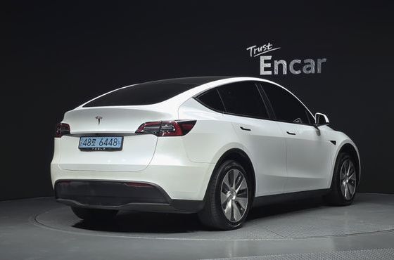 Tesla Model Y Standard Range RWD — пробег 96 666 км — фото 2 из 5