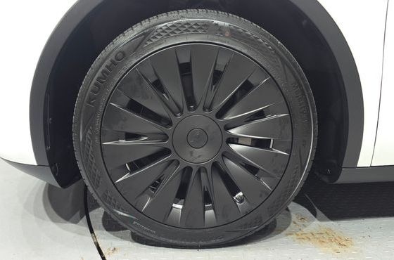 Tesla Model Y RWD — пробег 28 518 км — фото 5 из 5