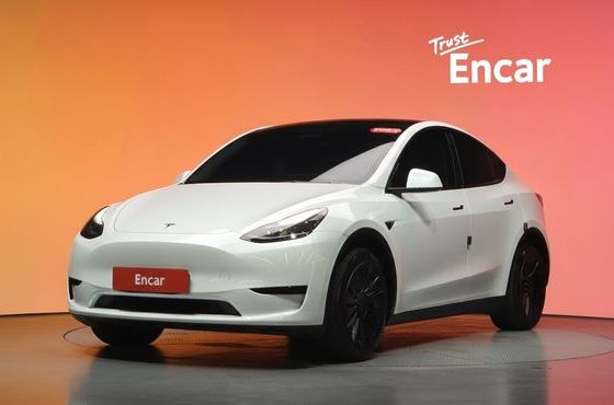 Tesla Model Y RWD — пробег 28 518 км — фото 1 из 5
