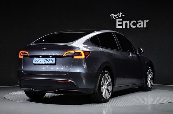 Tesla Model Y Long Range AWD — пробег 124 408 км — фото 2 из 5