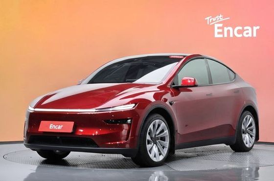 Tesla Model Y Long Range Launch Edition AWD — пробег 18 555 км — фото 1 из 5