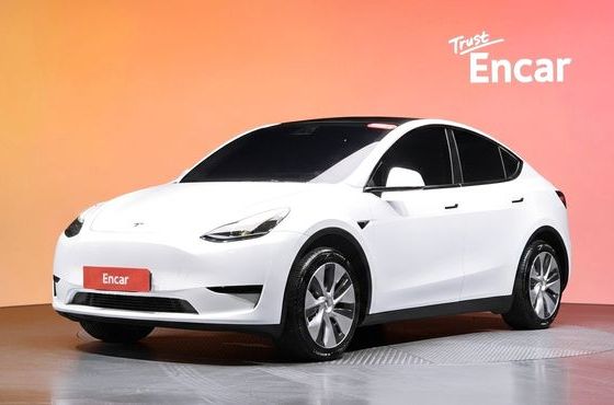 Tesla Model Y RWD — пробег 25 554 км — фото 1 из 5