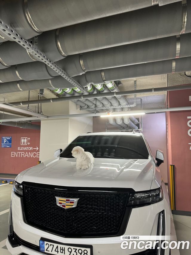 Cadillac Escalade 6.2 Sports Platinum — пробег 46 000 км — фото 3 из 5
