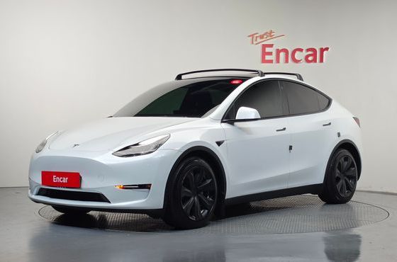 Tesla Model Y Long Range AWD — пробег 53 675 км — фото 1 из 5