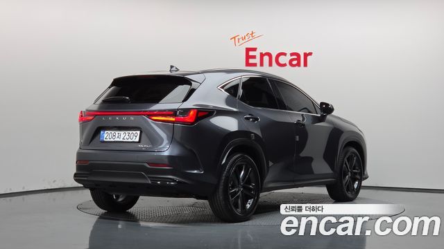 Lexus NX Premium — пробег 23 893 км — фото 2 из 5