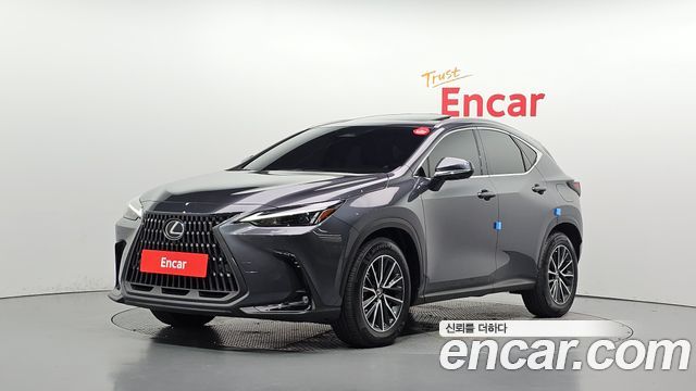 Lexus NX Premium — пробег 46 449 км — фото 1 из 5