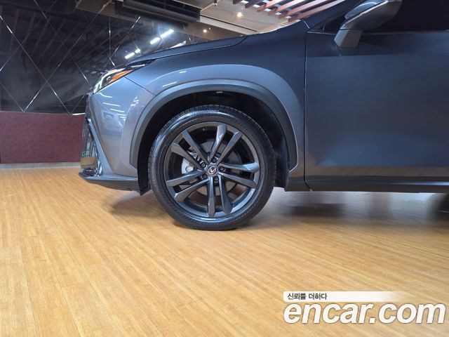 Lexus NX Premium — пробег 62 287 км — фото 5 из 5