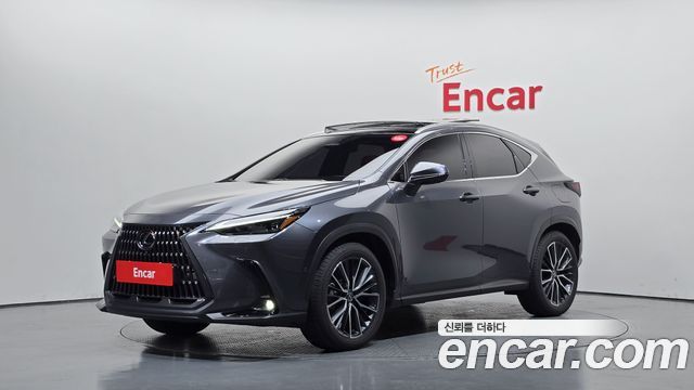 Lexus NX Luxury — пробег 14 278 км — фото 1 из 5