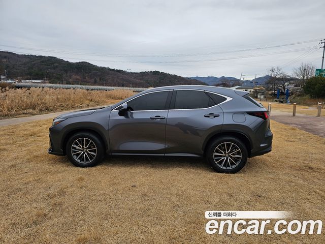 Lexus NX Premium — пробег 23 572 км — фото 4 из 5