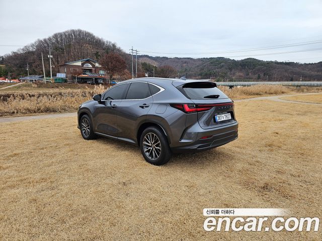 Lexus NX Premium — пробег 23 572 км — фото 5 из 5