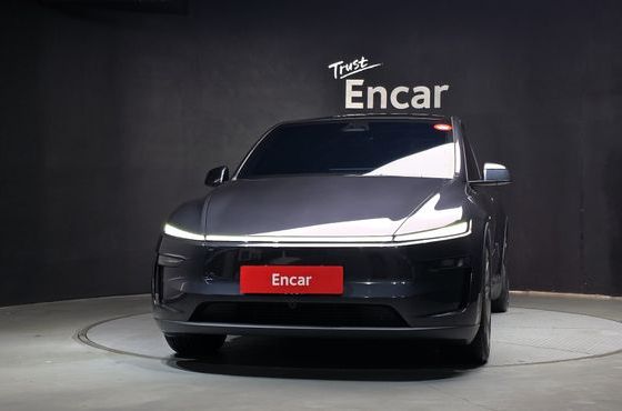 Tesla Model Y Premium Long Range AWD — пробег 9 648 км — фото 3 из 5