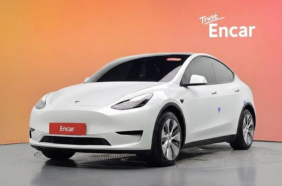 Tesla Model Y RWD — пробег 55 454 км — фото 1 из 5