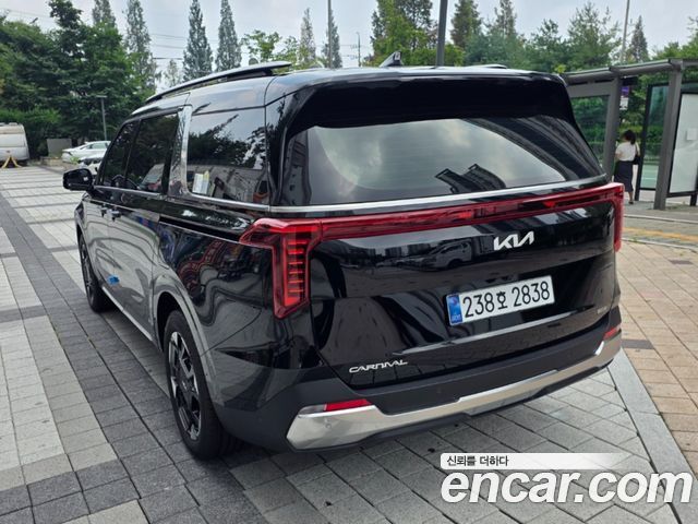 Kia Carnival HEV 9seater Nobless — пробег 750 км — фото 3 из 5