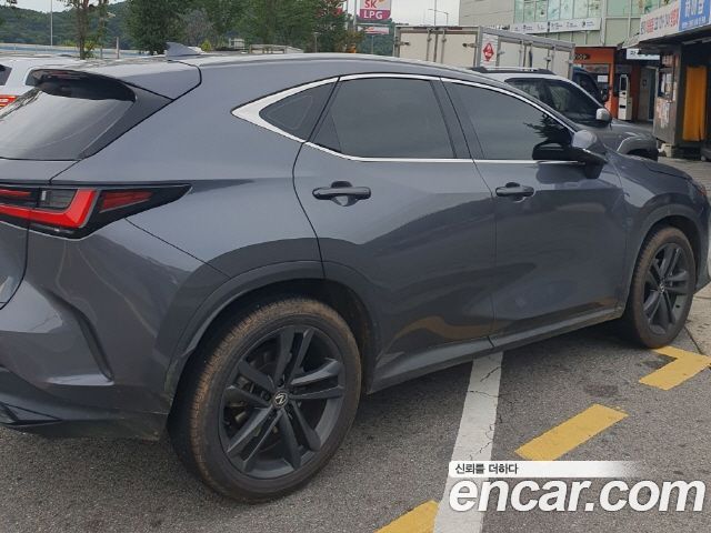 Lexus NX Premium — пробег 33 038 км — фото 2 из 5