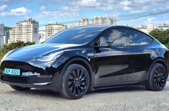 Tesla Model Y Standard Range RWD — пробег 76 994 км — фото 1 из 5
